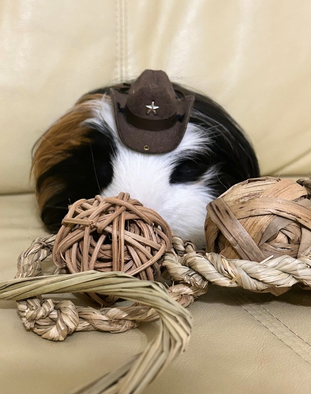 Gizmo 7.18 2