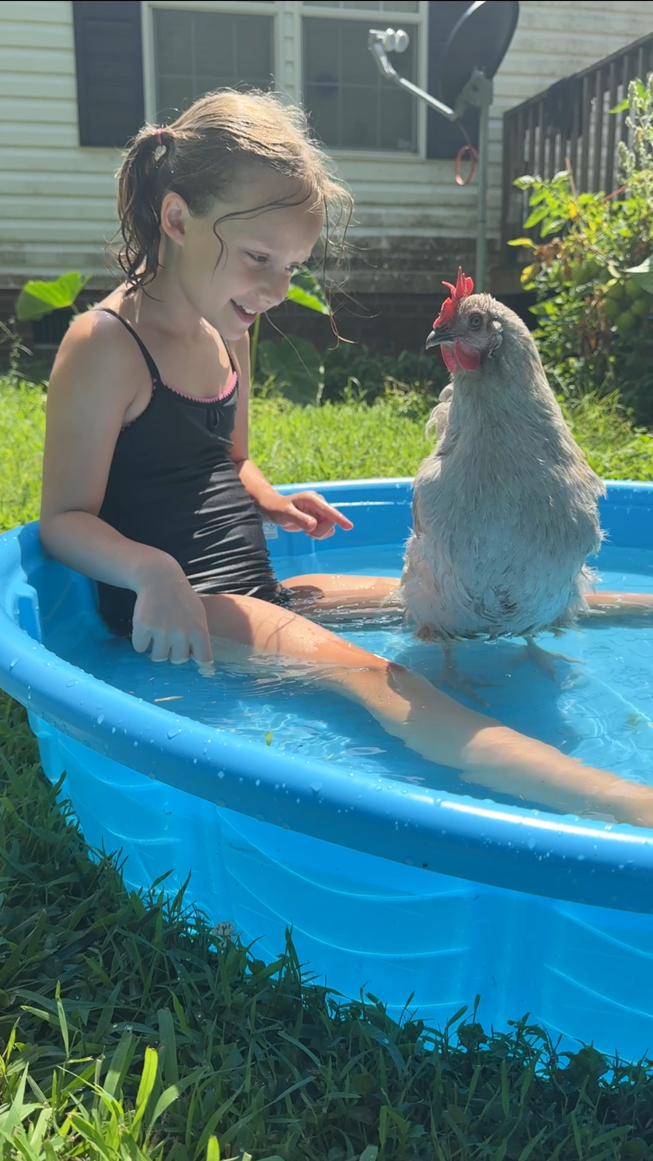IMG_1132 Henrietta and her human sitting in a kiddie pool in an attempt to keep the chickens cool in the summer