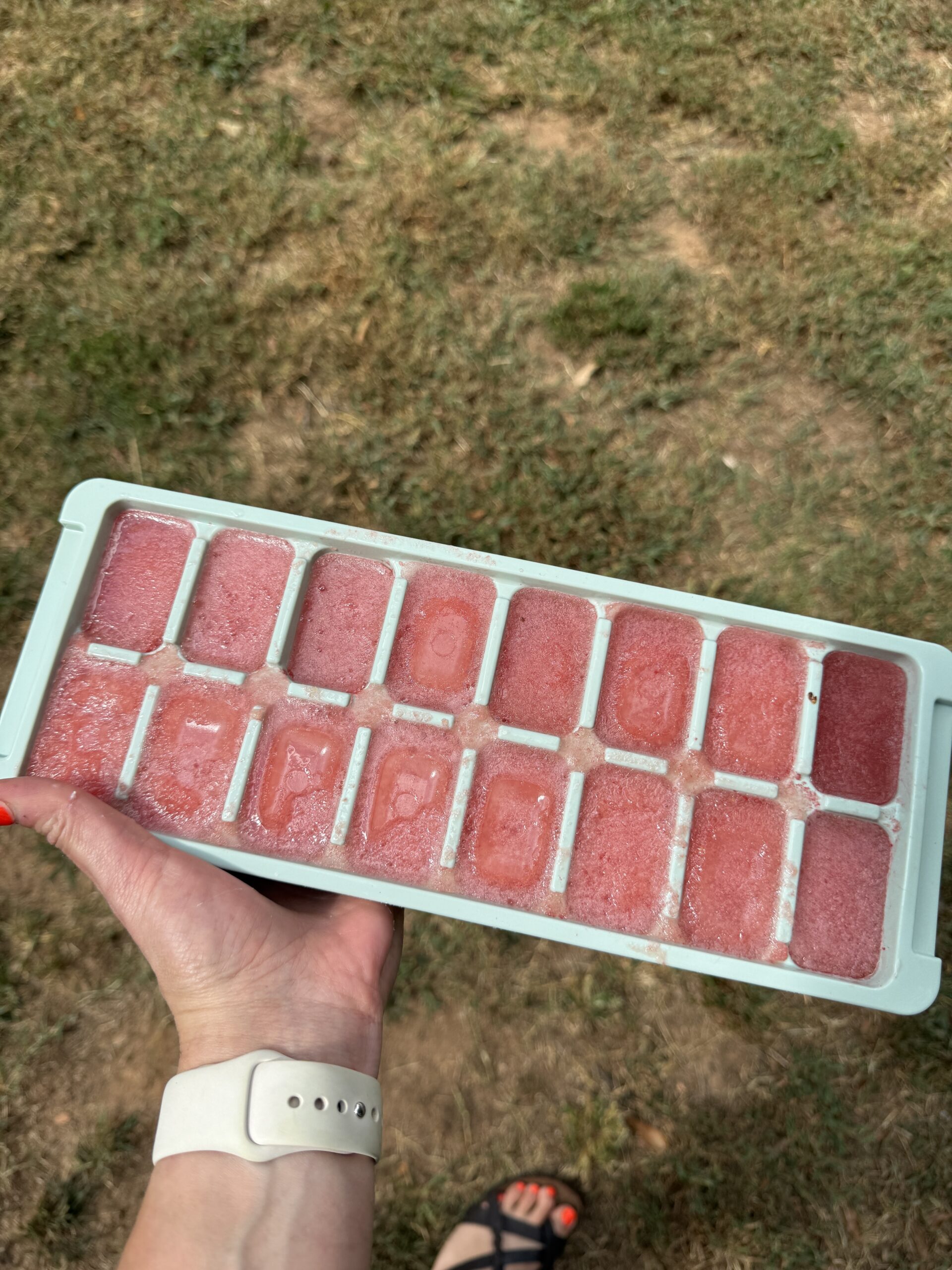 IMG_2210 Frozen electrolyte ice blocks to help hydrate dehydrated chickens
