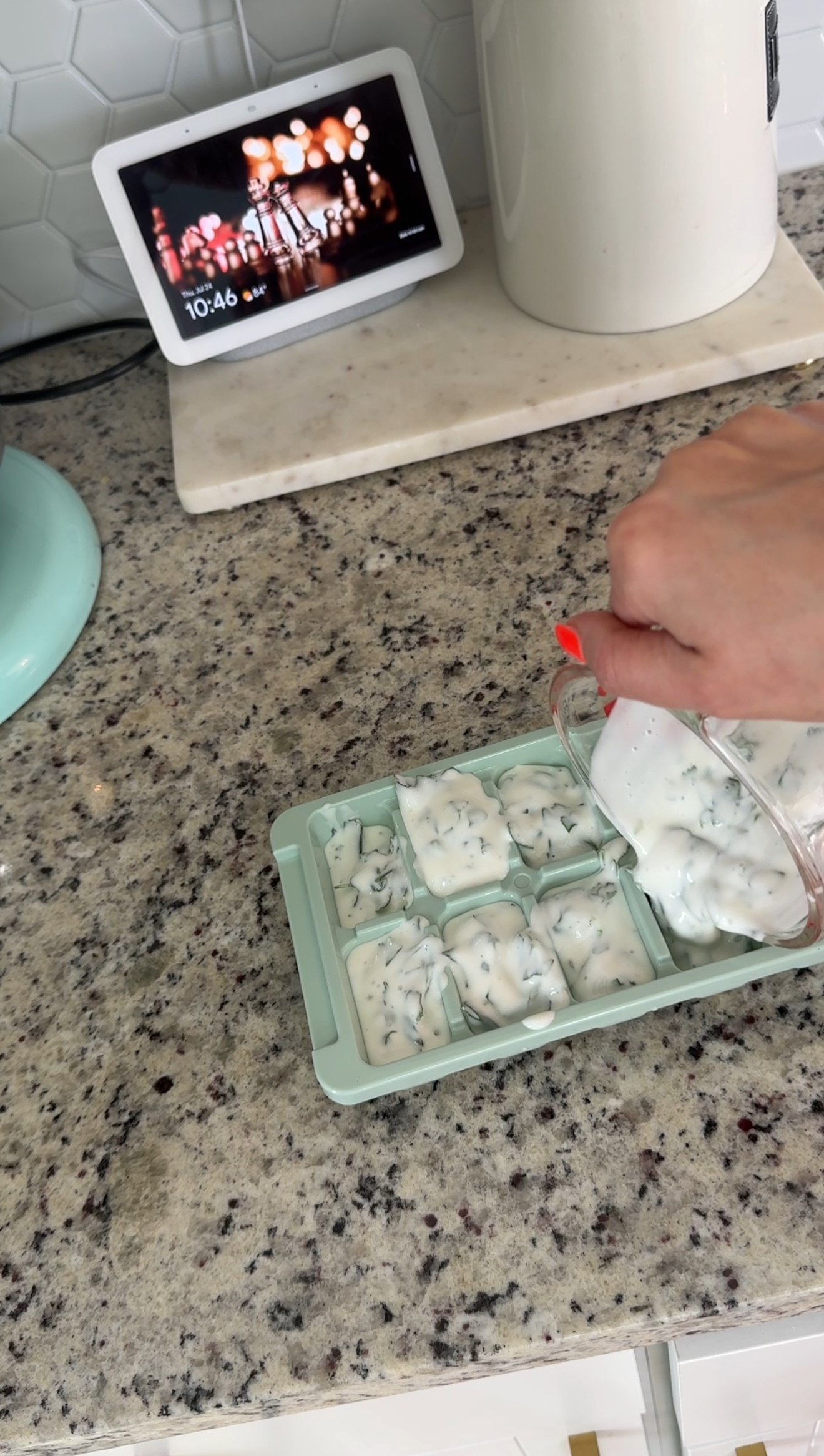 IMG_2228 2 yogurt and herb pops getting ready to be frozen to help keep the chickens cool