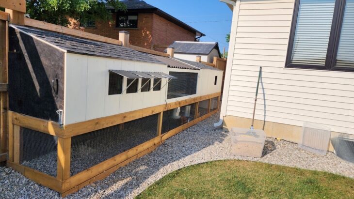 Chicken coop design