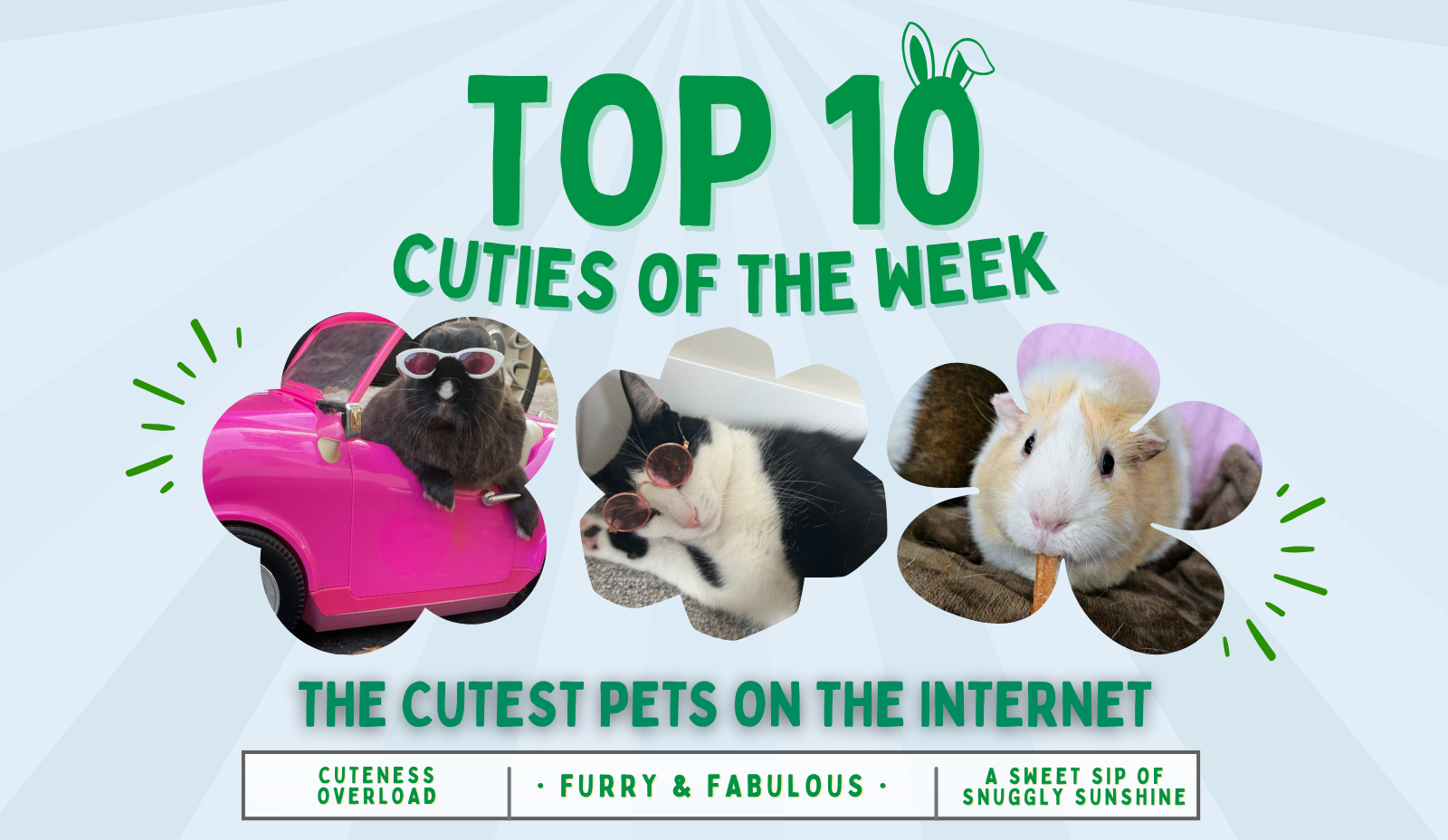 August 23rd, 2025: Top Cuties of the Week