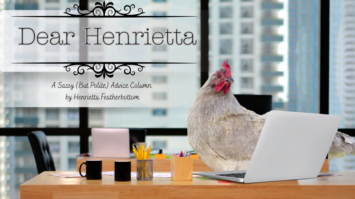 Dear Henrietta: Can you give me tips on how to introduce new chickens to a  flock? | Small Pet Select Blogs | Small Pet Select, image size:1366x768