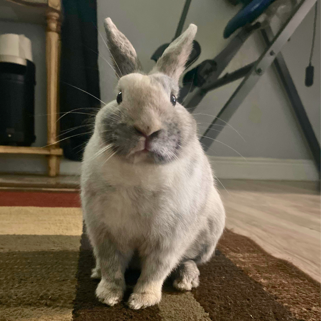 8 Thumper @e.v3lyyn