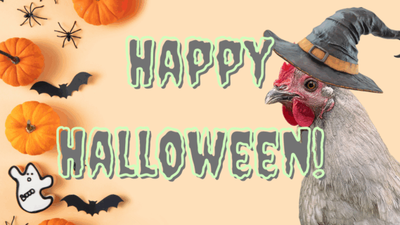 Halloween chicken