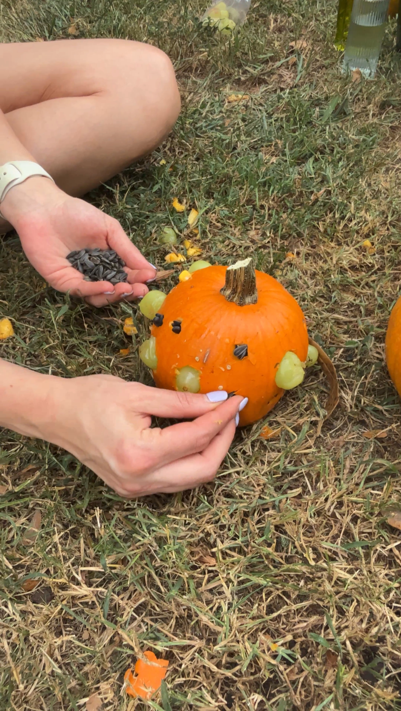 halloween chicken enrichment