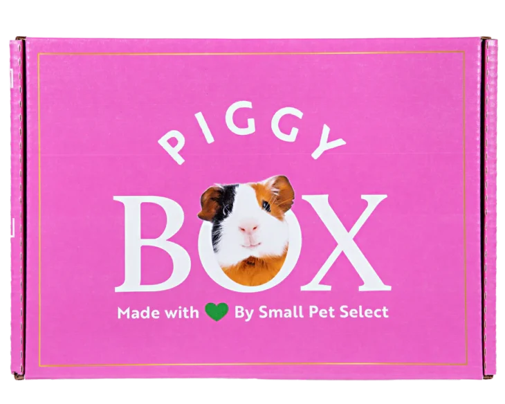 Small Pet Select Piggy box