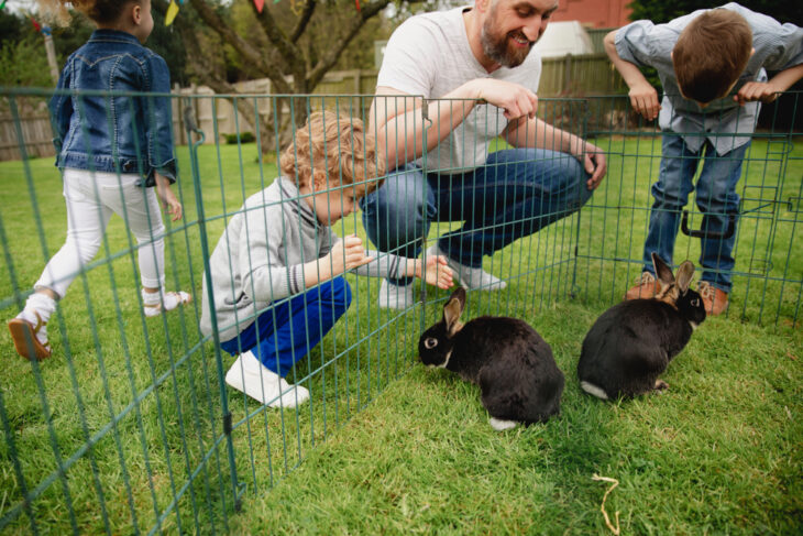 Group of people kneeling outdoors next to a rabbit pen
