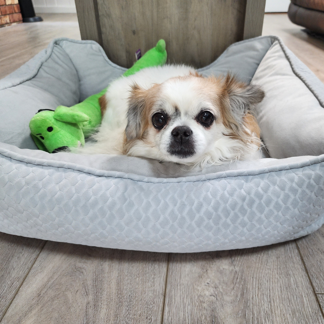 _#6 Zoe Bella francan518@gmail.com