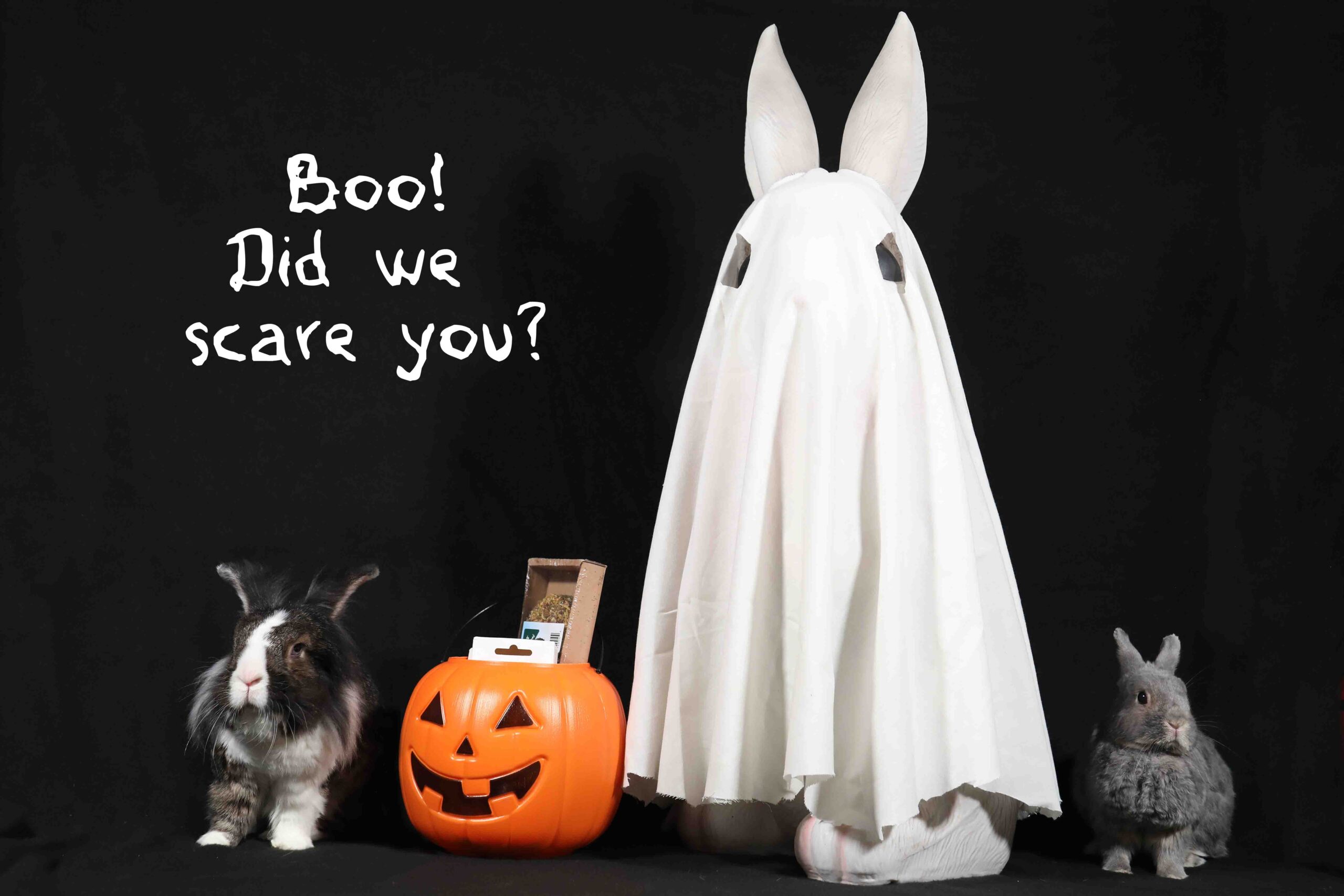 89-3D9A5928-COMP-TXT-LR