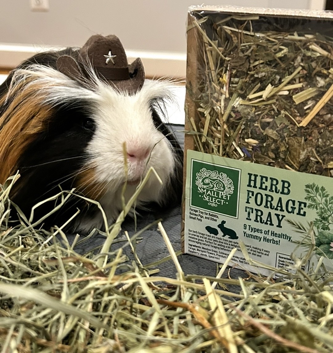 11.03 Herbal Tray photo 2