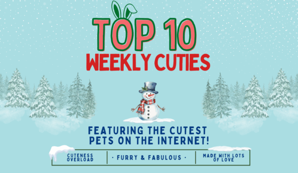 Top 10 cuties of the week