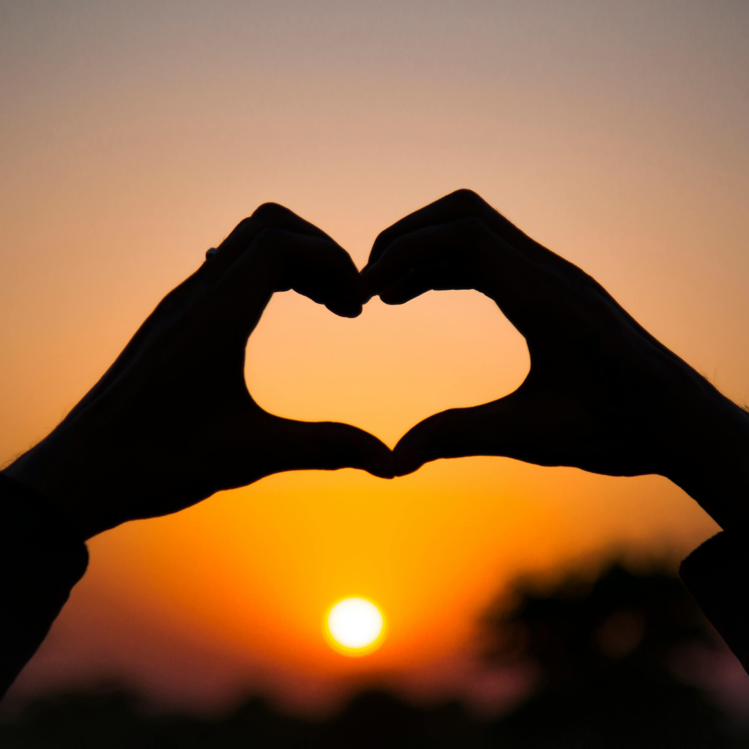 Untitled design (4) small pet rescue