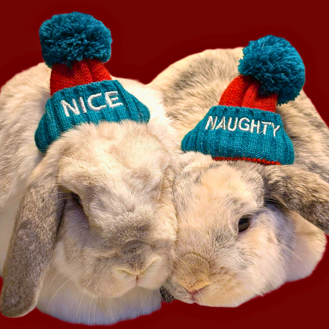 #2Pearl (Nice) and Reginald (Naughty)