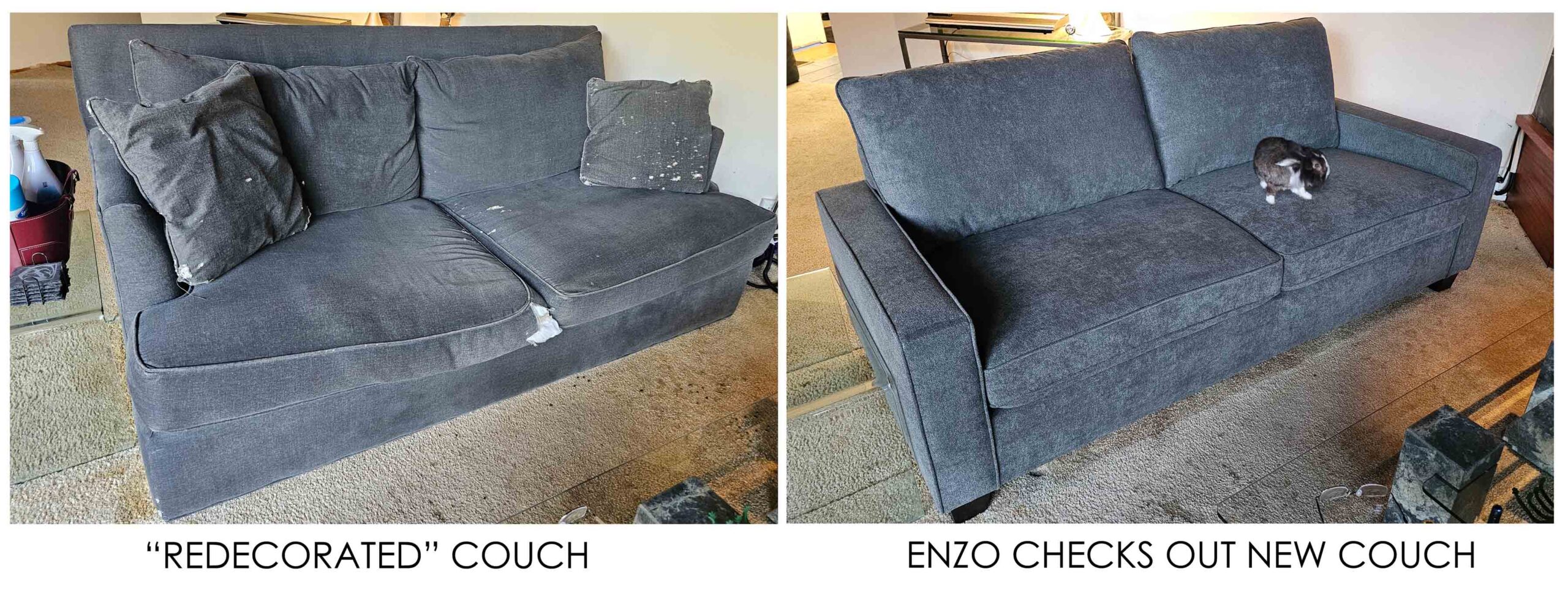 96-OLD COUCH - NEW COUCH