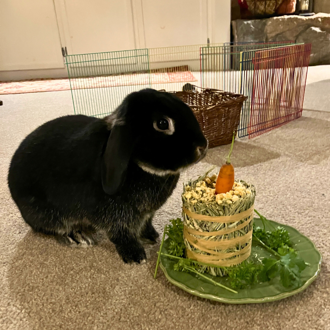 Hiccup @Carolynalt71