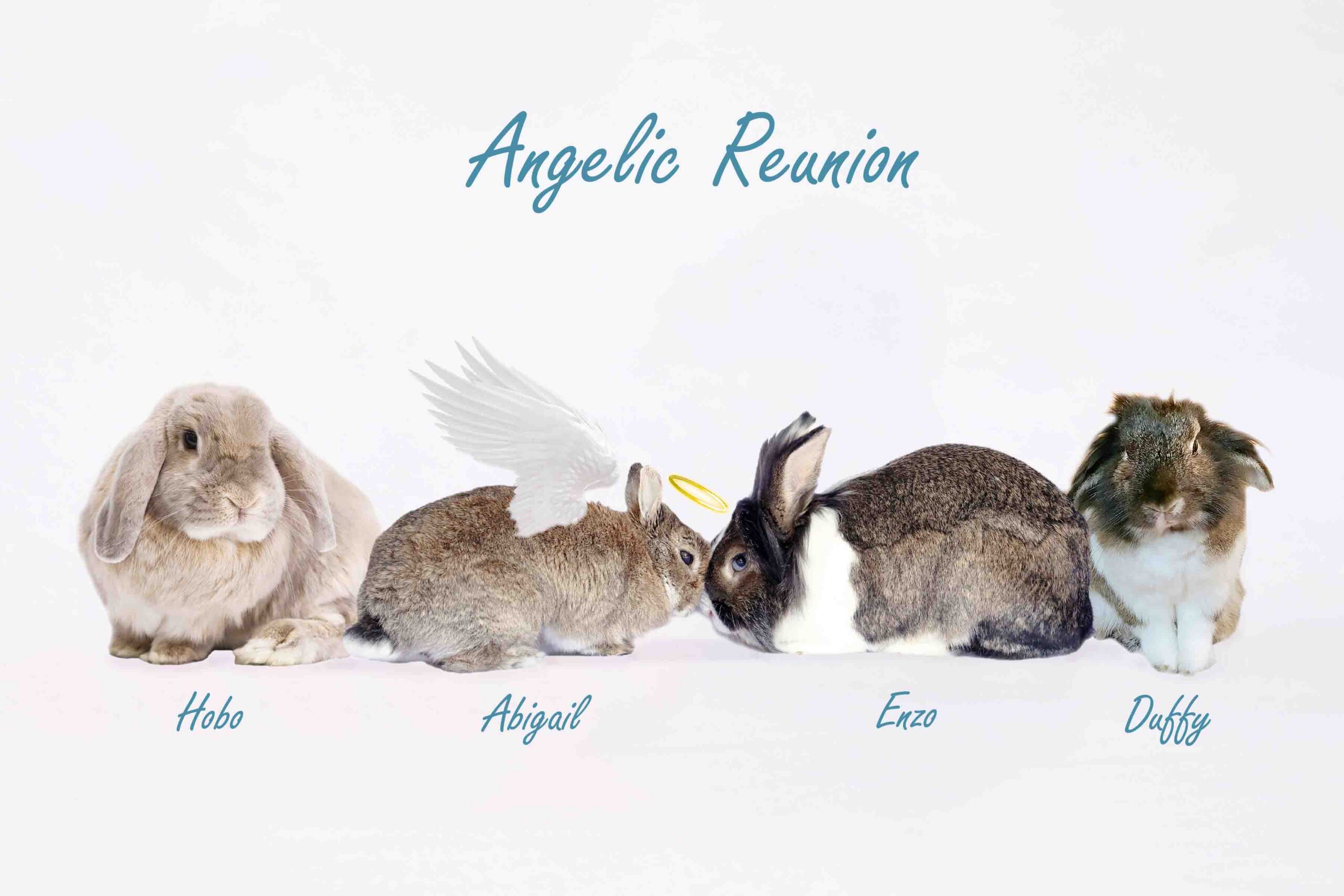 105-Angelic Reunion-HR2-TXT-LR