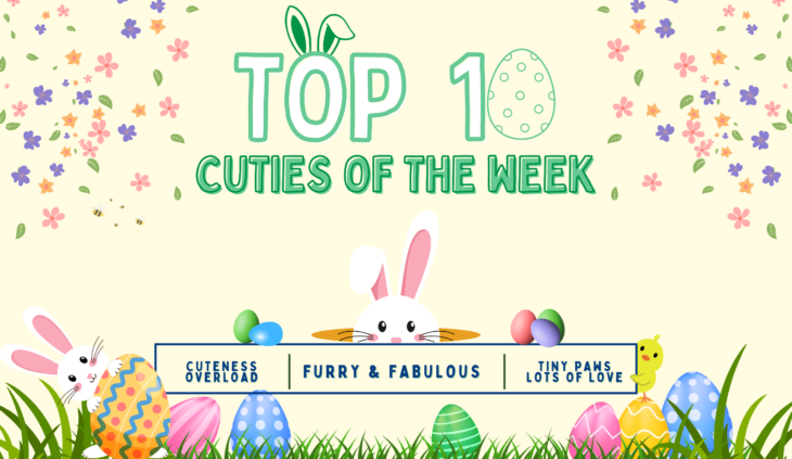 March, 28, 2026: Top Cuties of the Week March, 28, 2026: Top Cuties of the Week