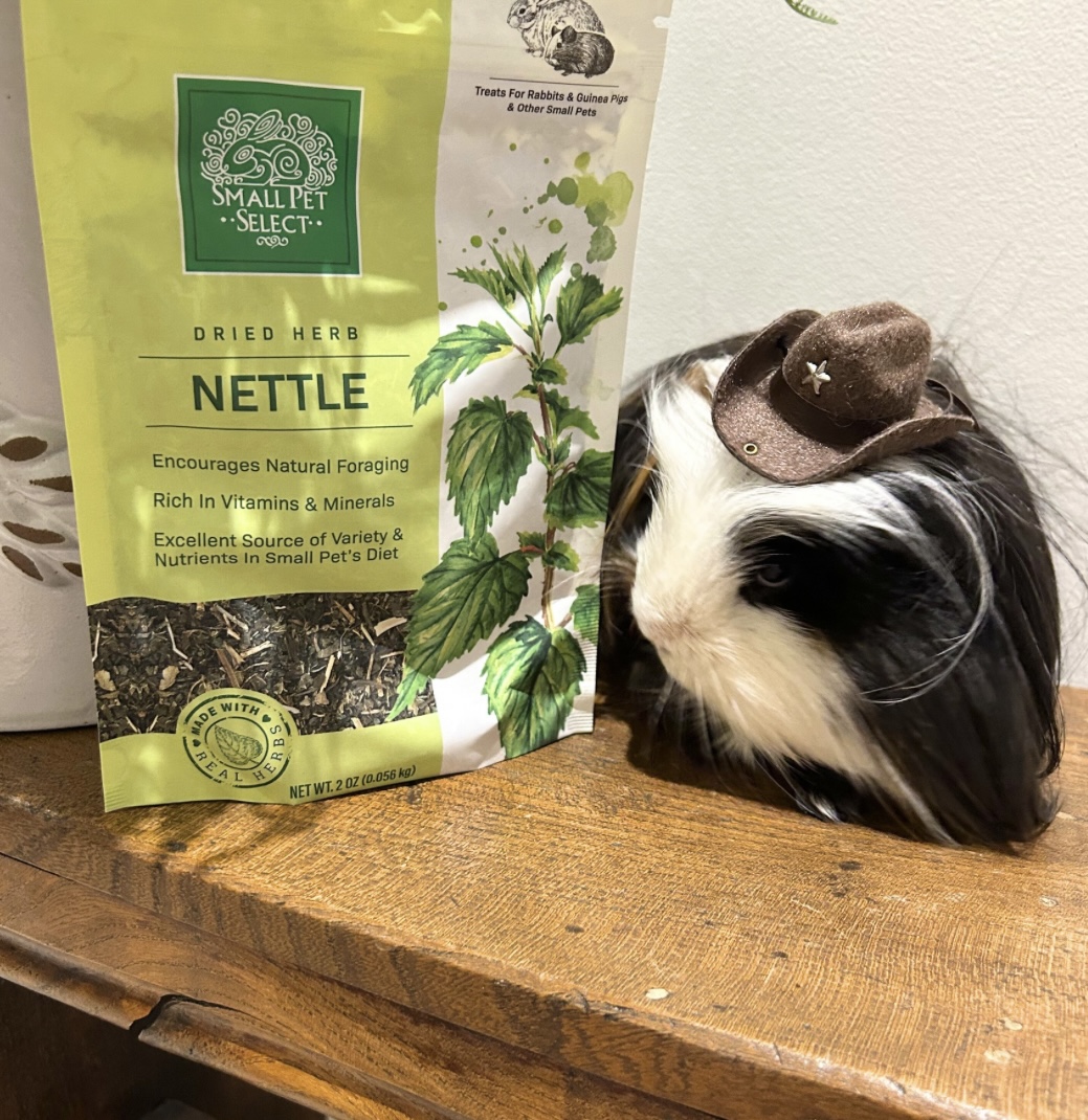 Gizmo with Nettle