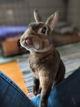 Harper likes snacks