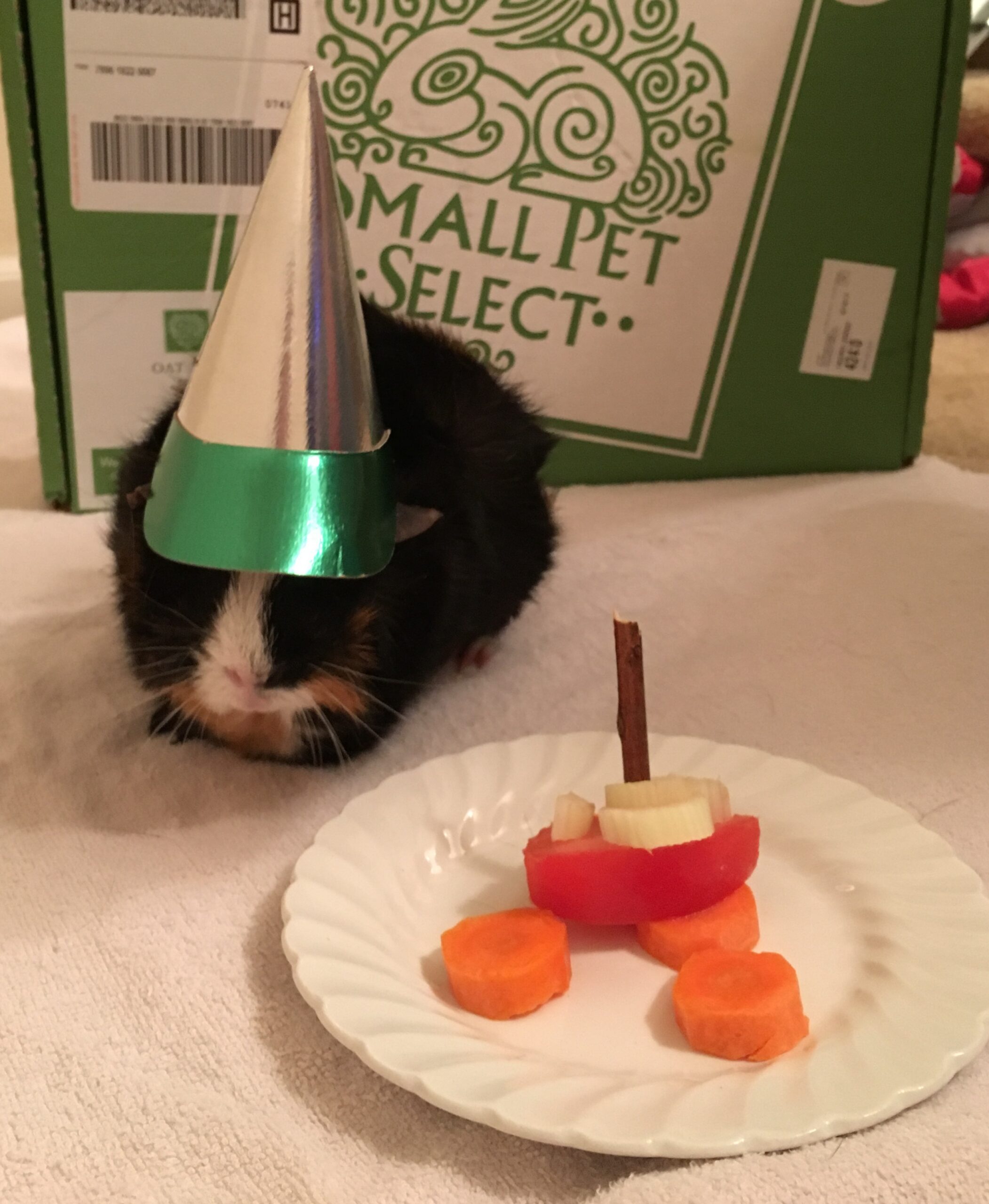 Mocha Java 3rd bday 2017