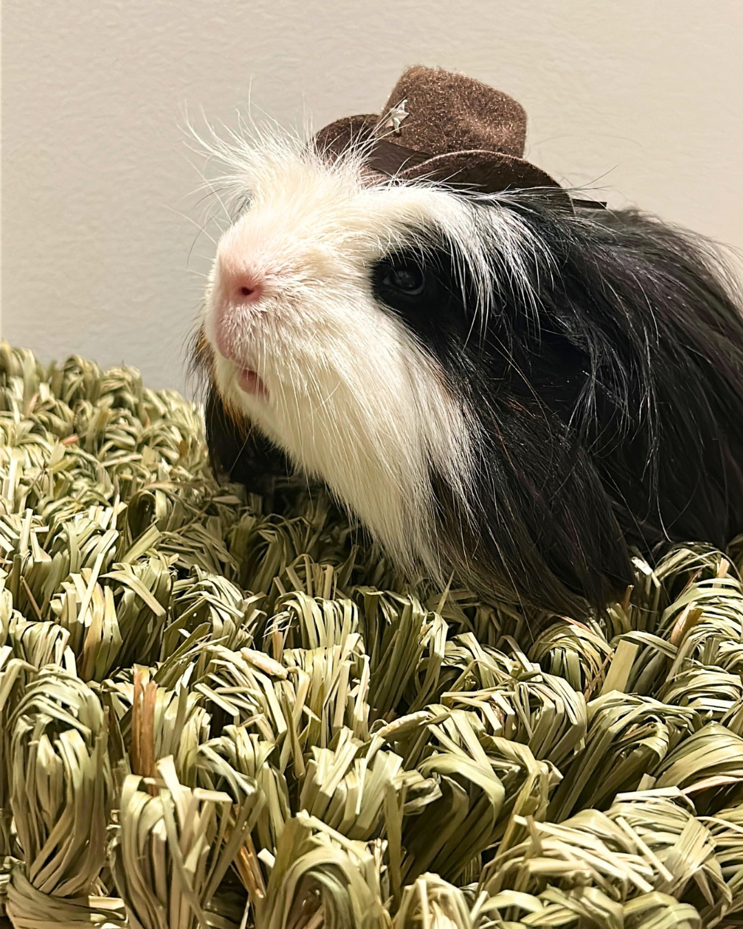 Gizmo Seagrass MAt